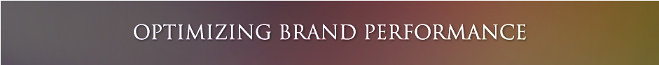 Optimizing Brand Performance